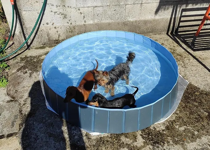 O Refuxo 別荘 Rosal